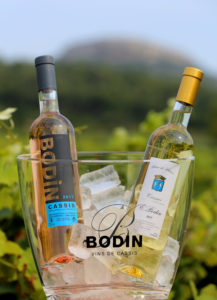 VASQUE 2 BOUTEILLES CASSIS BODIN